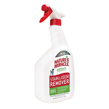 Stain and Odor Remover